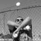 Wes Peden - Individual - United States - StageLync